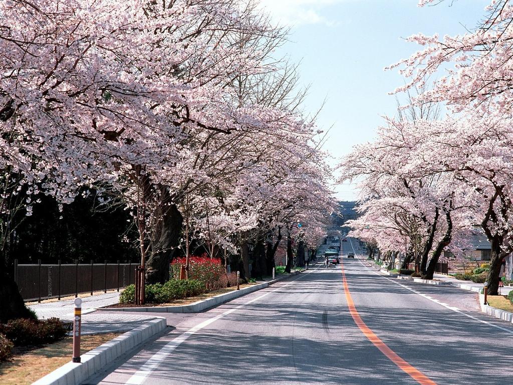 Hamabeno Ryouriyado Houraikan Kamaishi Exteriér fotografie